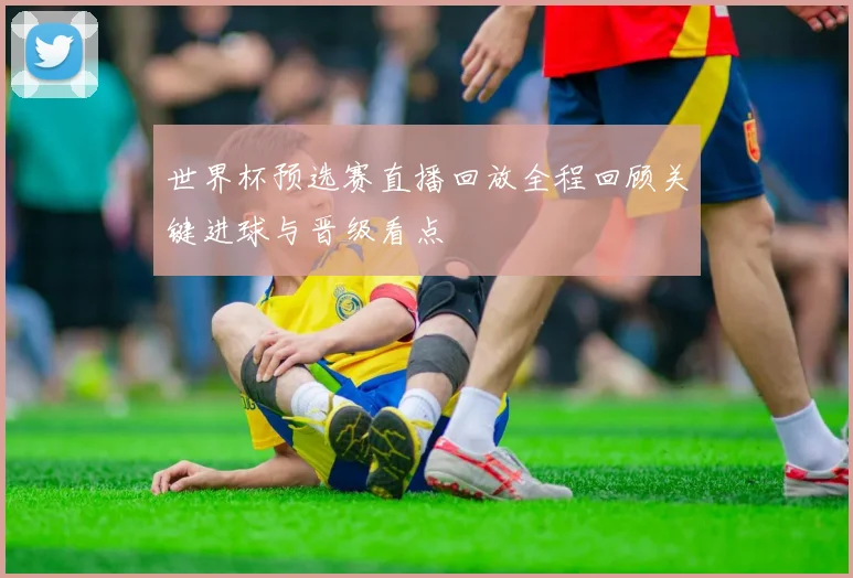 世界杯预选赛直播回放全程回顾关键进球与晋级看点